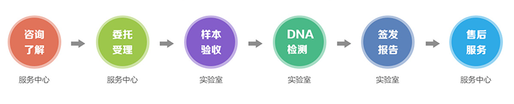 拉萨隐私亲子鉴定流程